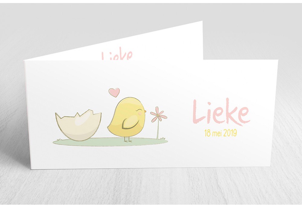 Kuikentje met ei Kuikentje met ei